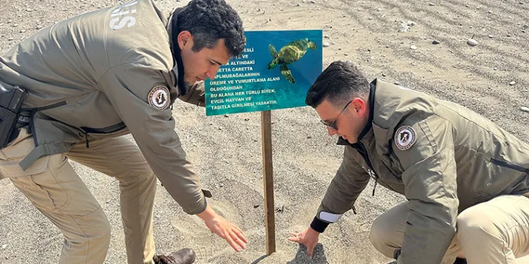 Carettaların üreme alanlarına uyarı levhaları asıldı