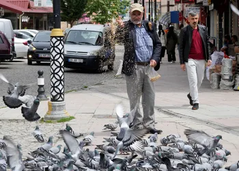 Gümüşhane’de 54 yılın Nisan ayı sıcaklık rekoru kırıldı