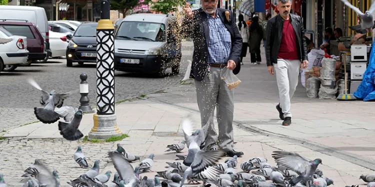 Gümüşhane’de 54 yılın Nisan ayı sıcaklık rekoru kırıldı