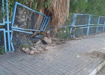 Alanya’da halk otobüsünün çarptığı kadın yaralandı