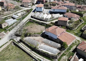 Aksaray’daki küçük Adana’da geçim seracılıktan