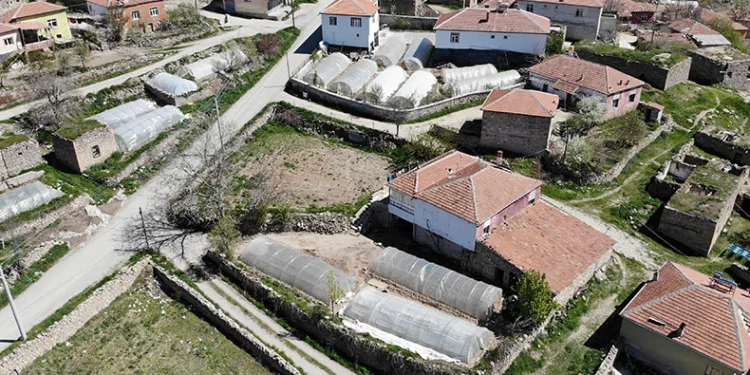 Aksaray’daki küçük Adana’da geçim seracılıktan