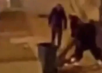 Ağacı söken 4 kişiye ceza