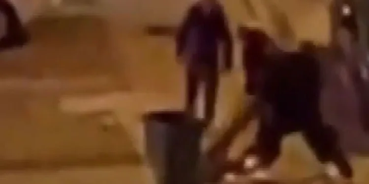 Ağacı söken 4 kişiye ceza