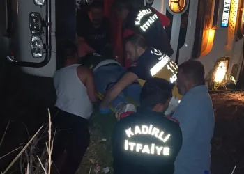 Tavuk yüklü tır devrildi yüzlerce tavuk telef oldu