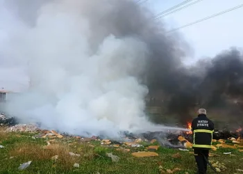 Payas’ta çıkan çöp yangını söndürüldü