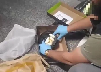 İzmir otogarında kokain baskını