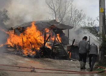Gözü gibi baktığı oğlağı öldü sandı