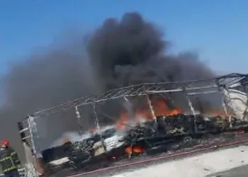 Seyir halindeki tırın dorsesi alev alev yandı
