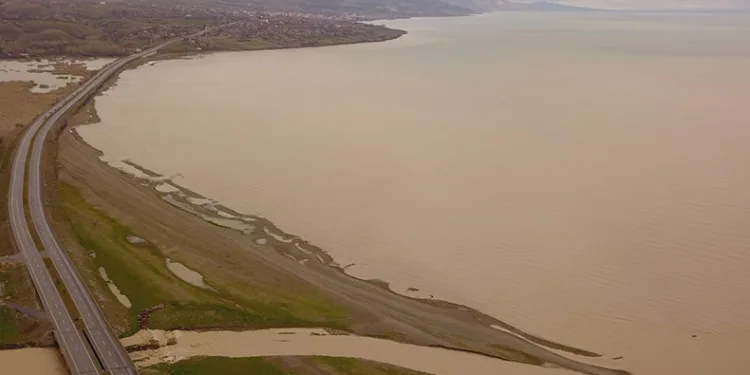 Ahlat’ta Van Gölü kahverengiye boyandı