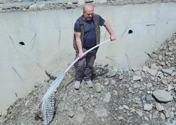 İnşaat çukuruna düşen çakal doğaya salındı