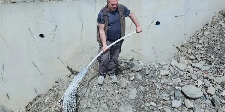 İnşaat çukuruna düşen çakal doğaya salındı
