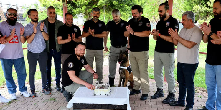 Hulk’un 7’nci yaş günü pasta kesilerek kutlandı