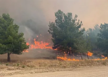 Çanakkale Valiliğinden orman yangınlarına karşı uyarı