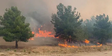Çanakkale Valiliğinden orman yangınlarına karşı uyarı