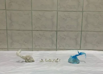Tekirdağ’da uyuşturucu operasyonu 7 gözaltı