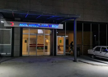 Haber alınamayan kadın ağaca asılı halde bulundu