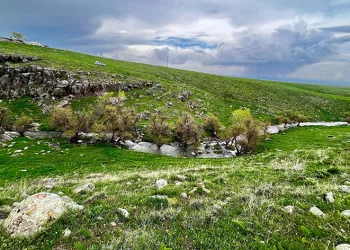 Canlanan doğa göz kamaştırdı