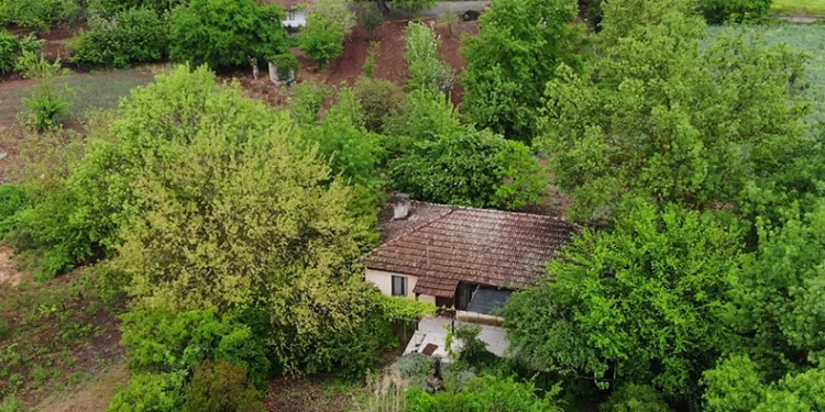 ‘Berzeg Sendromu’ mahalleyi boşalttı
