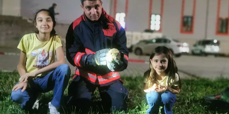Rögar borusuna düşen kirpiler kurtarıldı