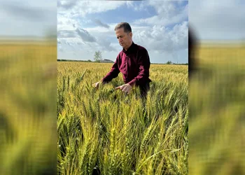 “Çiftçiler hasat başlamadan taban fiyat ve prim desteğinin açıklanmasını bekliyor”