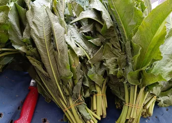 Topladığı ‘Labada’ bitkisini pazarda satıyor