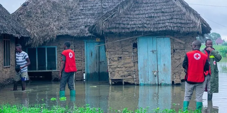 Tanzanya ve Kenya’da sel felaketi