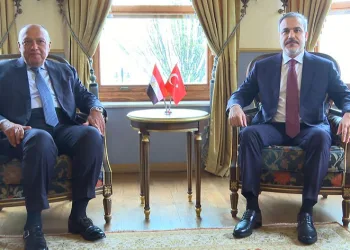 “Mısır-Türkiye işbirliği halkımızın yararınadır”