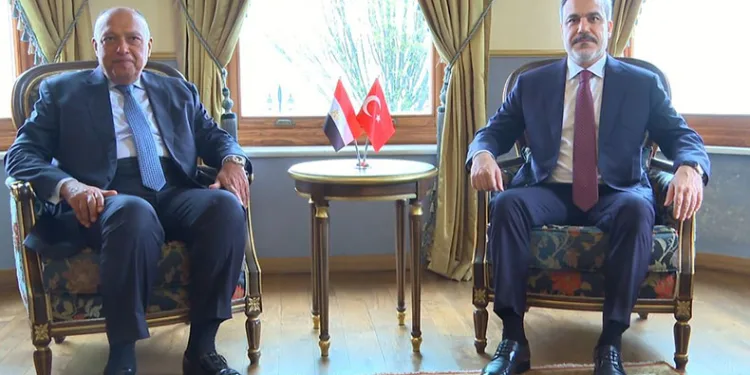 “Mısır-Türkiye işbirliği halkımızın yararınadır”