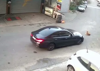 Yolda yatan köpeğin üzerinden geçti
