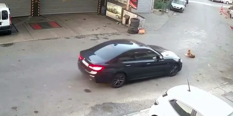 Yolda yatan köpeğin üzerinden geçti