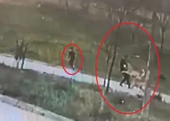 Bursa’da başıboş köpek dehşeti