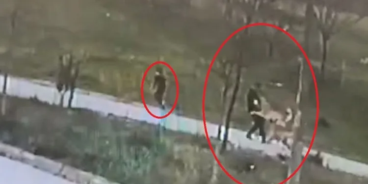 Bursa’da başıboş köpek dehşeti
