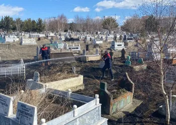 Mezarlıktaki ot yangınına itfaiyeden müdahale