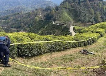 Rize’de çay bahçesinde erkek cesedi bulundu