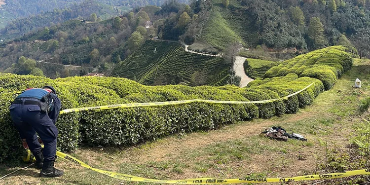 Rize’de çay bahçesinde erkek cesedi bulundu