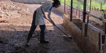 Kurdukları çiftlikte ‘hanım ağa’ oldular