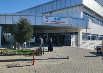 Bingöl’de iş makinesinin çarptığı adam hayatını kaybetti