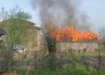 Düzce’de ahır ve samanlık yangını