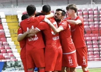 TFF 3. Lig: Balıkesirspor: 4 – Sebat Gençlikspor: 1