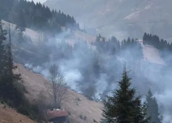 Trabzon’da orman yangını