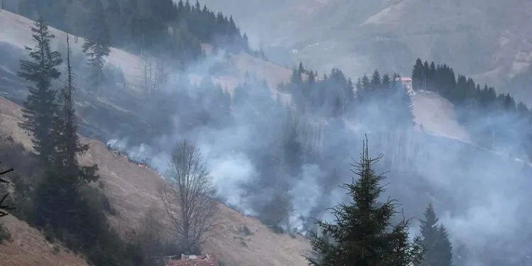 Trabzon’da orman yangını