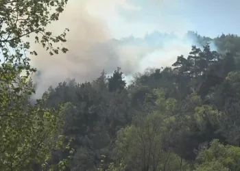 Bursa’da ormanlık alanda çıkan yangın kontrol altına alındı