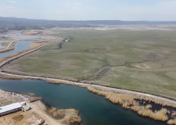Ağrı Dağı eteklerindeki doğal yaşam havadan görüntülendi
