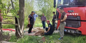 Kuyuya düşen ineği itfaiye kurtardı
