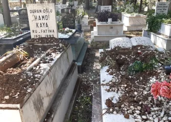 Domuzlar şimdi de mezarlara dadandı