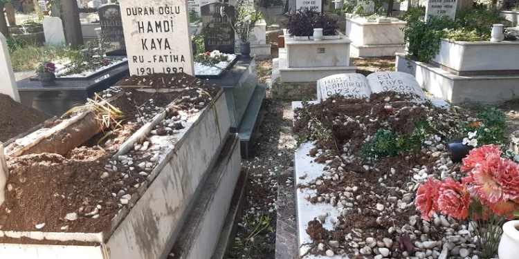 Domuzlar şimdi de mezarlara dadandı
