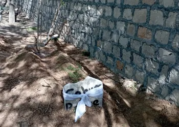 Torunu tarafından öldürülen anneanne son yolculuğuna uğurlandı