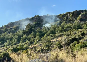 Alanya’da orman yangını