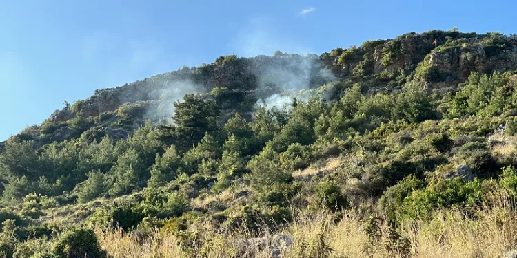Alanya’da orman yangını